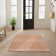 Dakota Fields Burrillville Machine Washable Copper Bohemian Indoor Rug