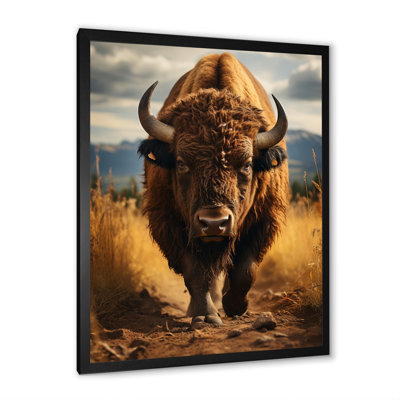 Animals Canvas Art Print