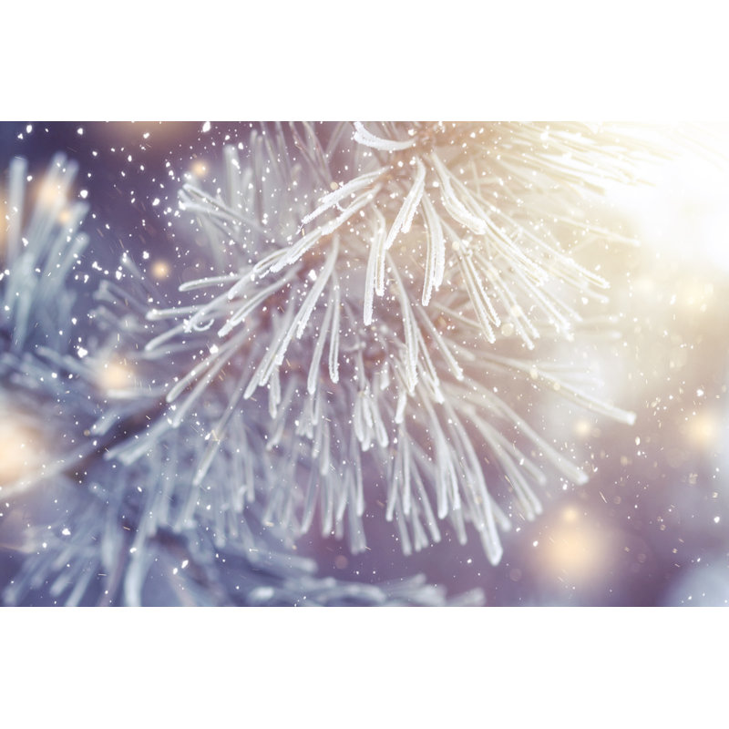 Shining Snowflakes by Dzmitrock87 - Wrapped Canvas Print, 30cm H x 46cm W x 3.8cm D