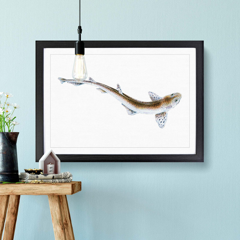 Lesser Spotted Dog-fish by Edward Donovan - Picture Frame Painting Print, 27cm H x 36cm W x 2cm D, Black Framed