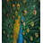 Eclectic Polyester Duvet Cover-59982364-95075746