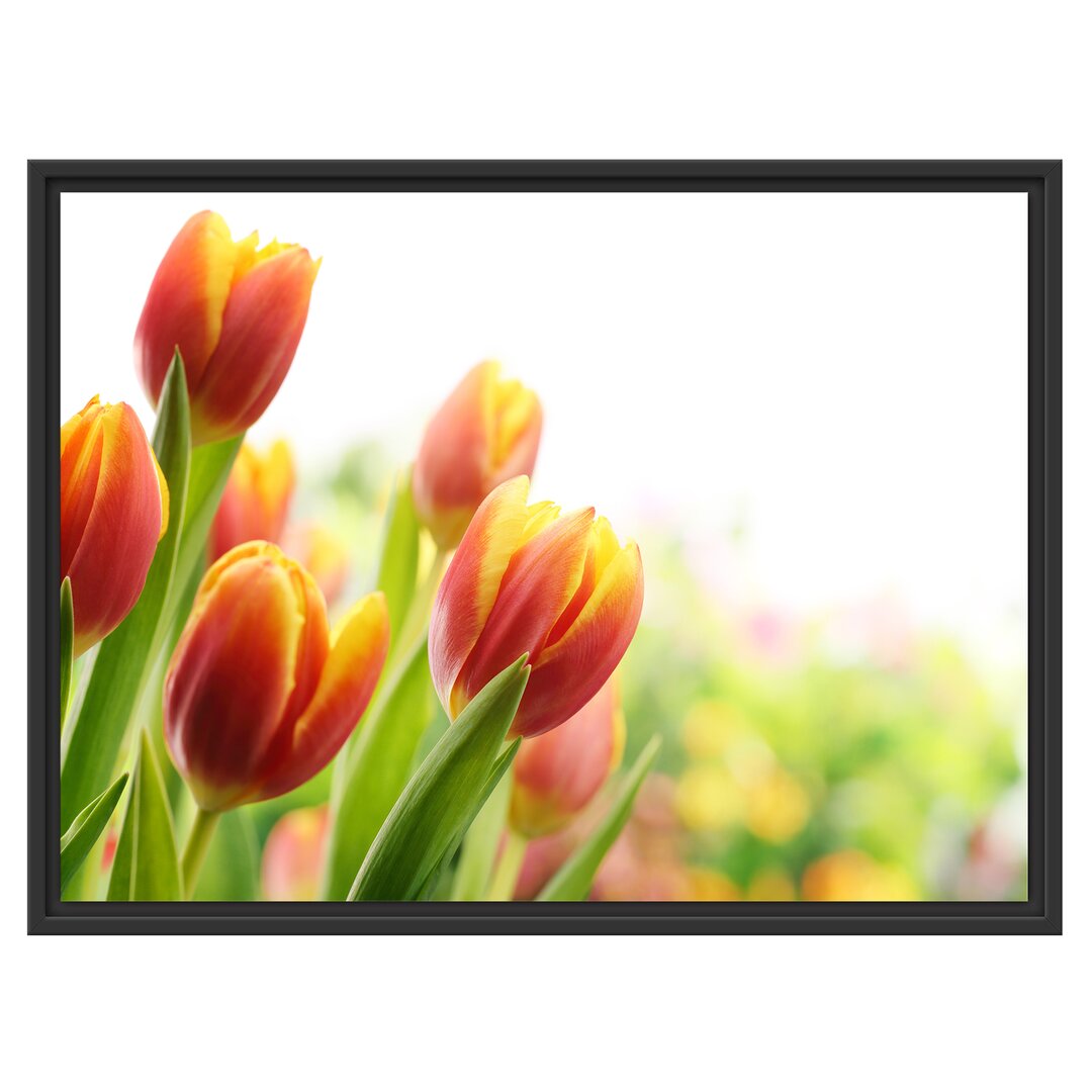 Gerahmtes Wandbild Bunte Tulpenwiese