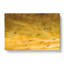 Flying Seagulls At Sunset - Wrapped Canvas-61854874