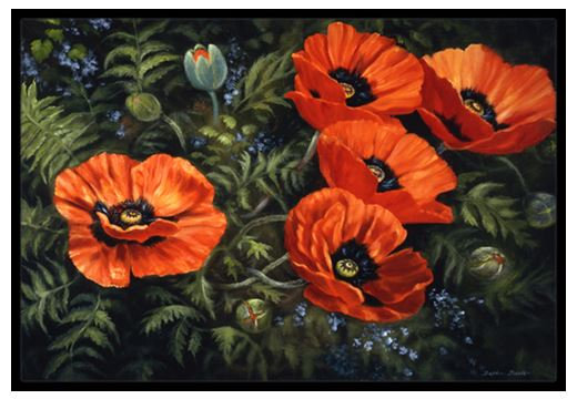 Tapis d'extérieur antidérapant Wanakah Poppies, Rectangle 2 pi x 3 pi