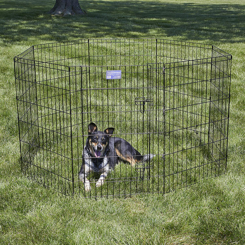 Black Metal 36" Exercise Pen with Door