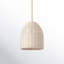 Luminaire suspendu en forme de dôme à 1 lumière-1171568000