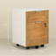 Radhika 42cm Wide 2 -Drawer Mobile File Cabinet