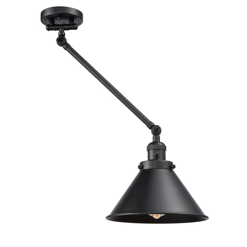 Bras pivotant à 1 lumière Paylor, Incandescent, Noir mat, Noir mat