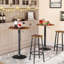 Bigvai Counter Stool with Metal Frame-1468768268