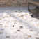 Yasmine Geometric Cowhide Hand Woven Area Rug