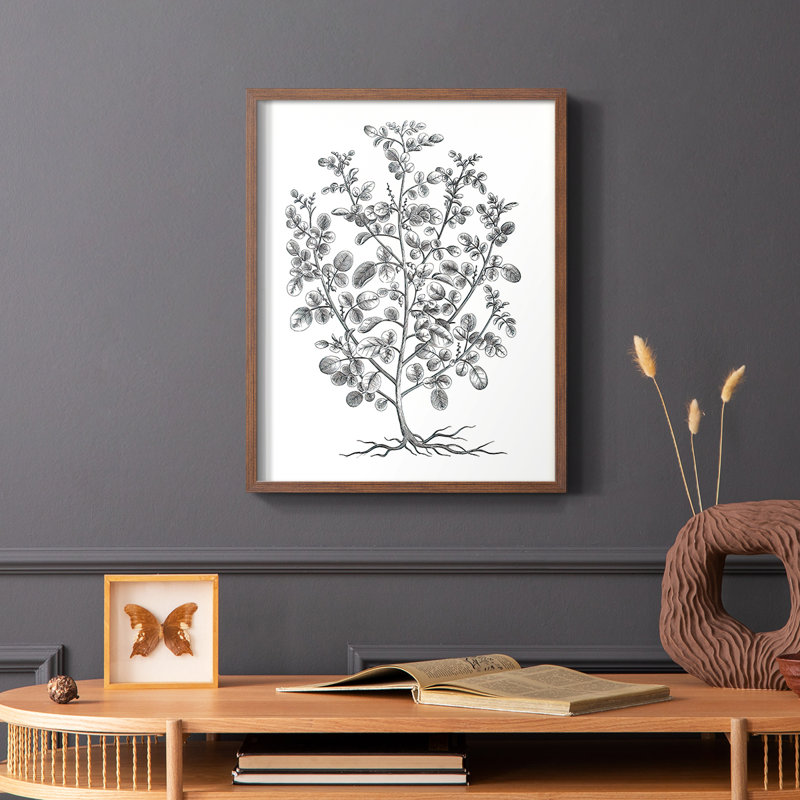 «B&W Plant Specule I», reproduction encadrée - bois massif, Brun, H 20 po x l 16 po