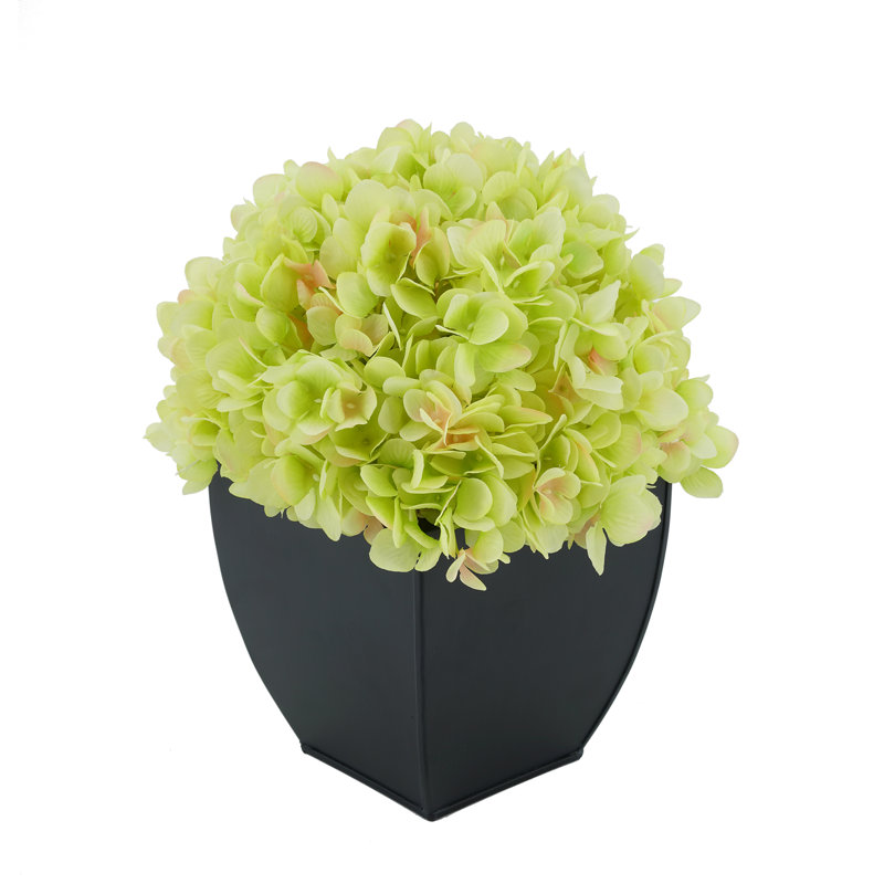 Arrangement floral hortensia en pot, Vert