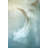 "Wind Blown Feather" Print on Wrapped Canvas-20621035