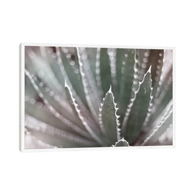 Dream Desert II BWC by Sue Schlabach - Gallery-Wrapped Canvas Giclée on Canvas