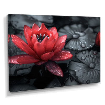 Romantique étang de lotus rouge noir Photo I - Lotus, art mural, salon