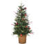 Sapin d'entrée 4 pi avec lumières DEL The Holiday Aisle® First Traditions Scotch Creek