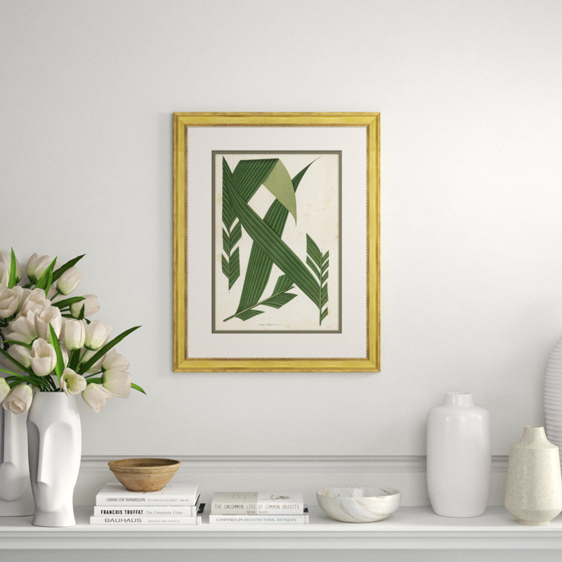 Palm Leaves 5 Giclee Print by Soicher Marin Archives