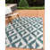 Drucilla Napa Indoor/Outdoor Rug