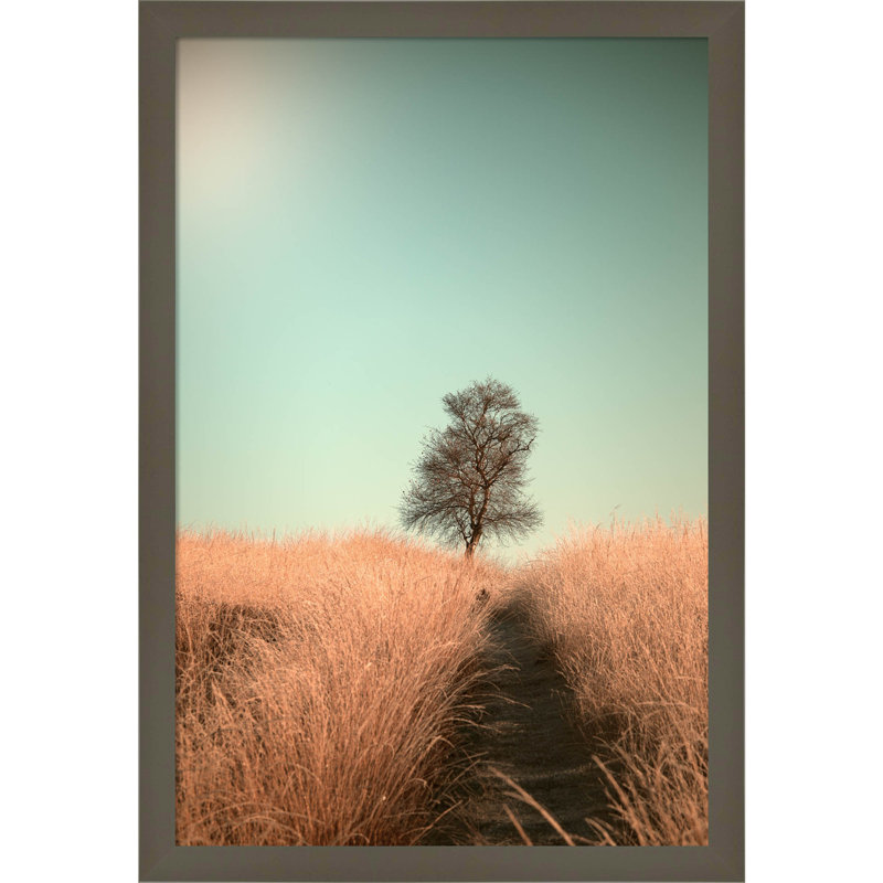 Grass And Path by Jaap Van Den, 15" W x 21" H, Gray
