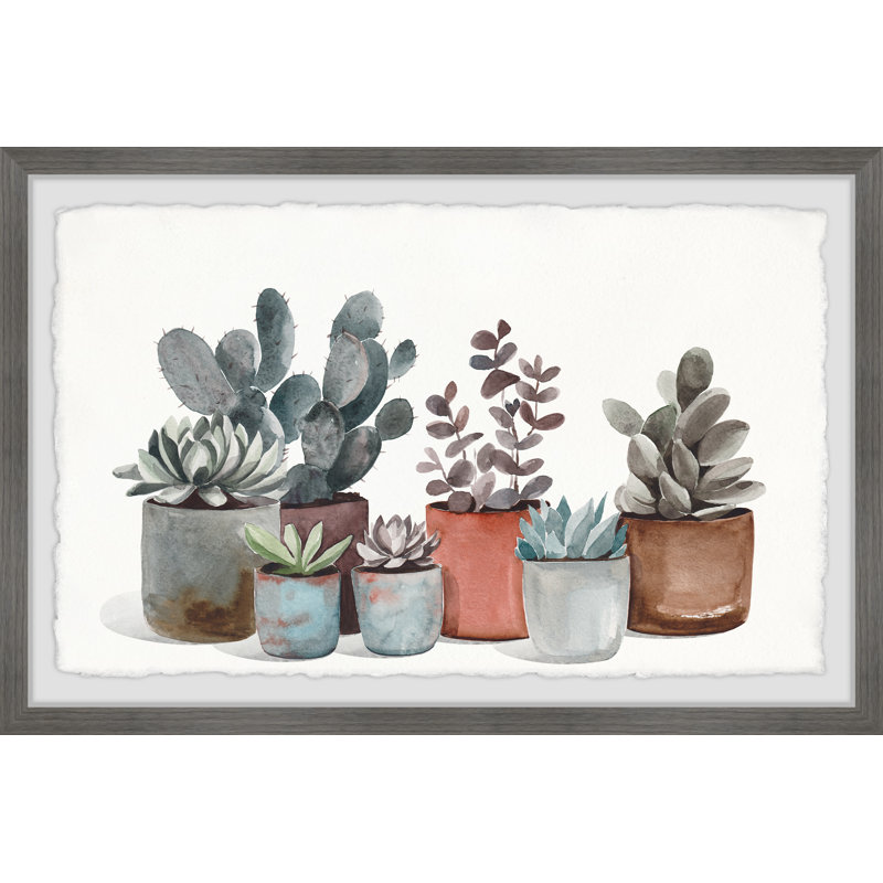«Succulent Plants Show», reproduction encadrée, H 24 po x l 36 po x P 1,5 po