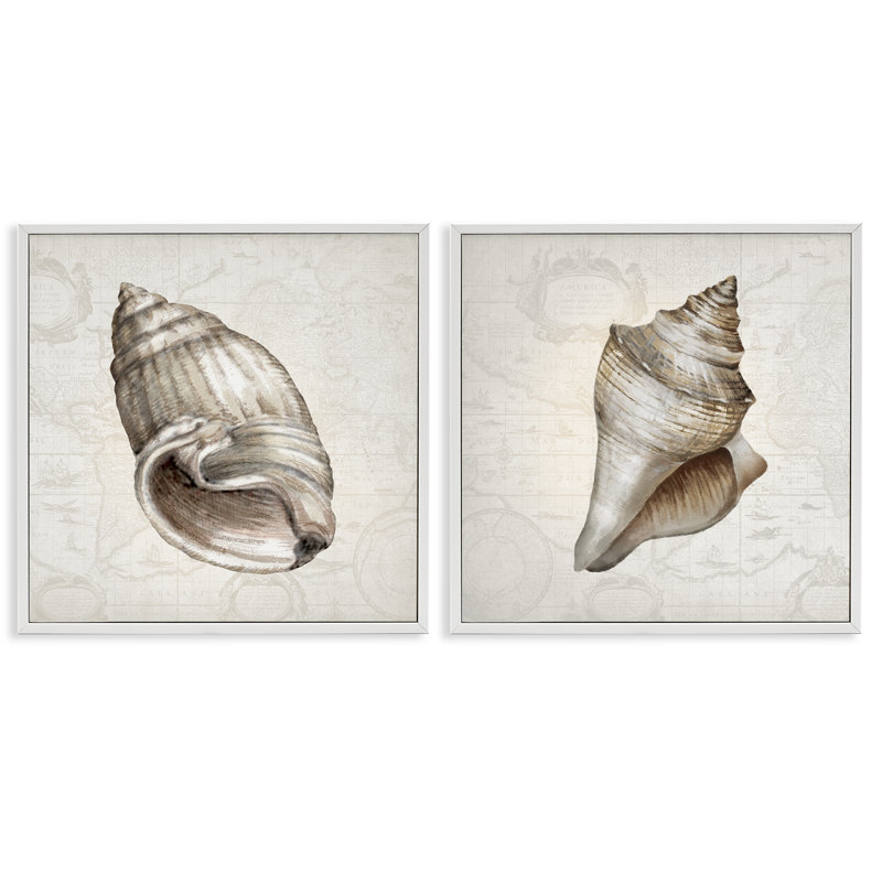 Conch, coquillages sur cartes rétro, ensemble de 2 giclées encadrées, conception par Conrad Knutsen, H 24 po x l 48 po