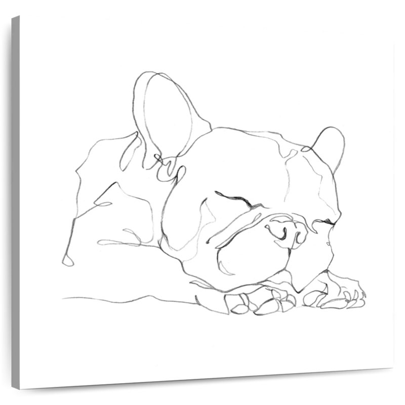 Bouledogue français Brampt Contour I, H 16 po x l 16 po