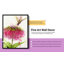 «Dragonfly and Zinnia», reproduction sur toile-34000476-34143266