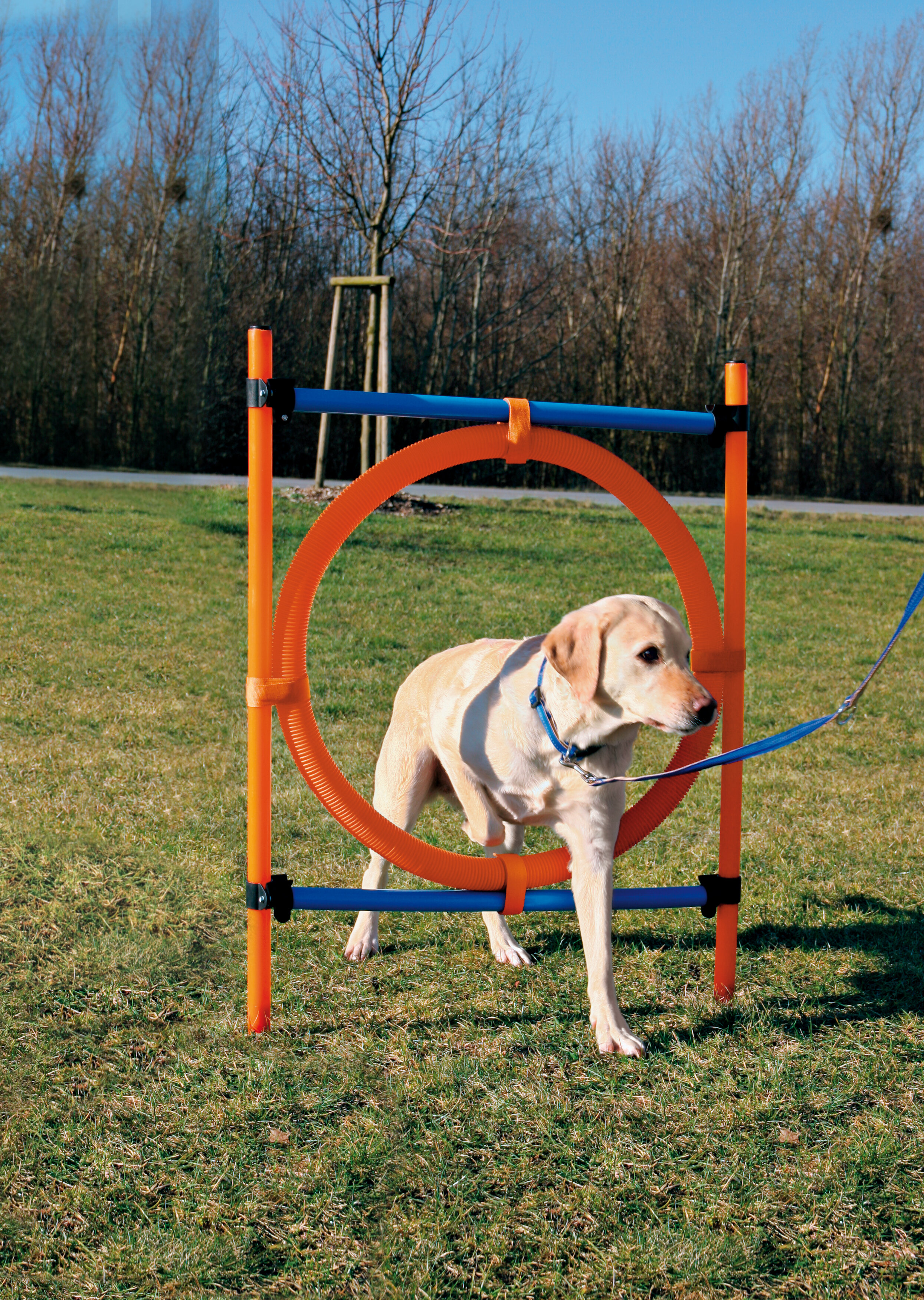  PawHut 4PC Obstacle Dog Agility Training Course Kit