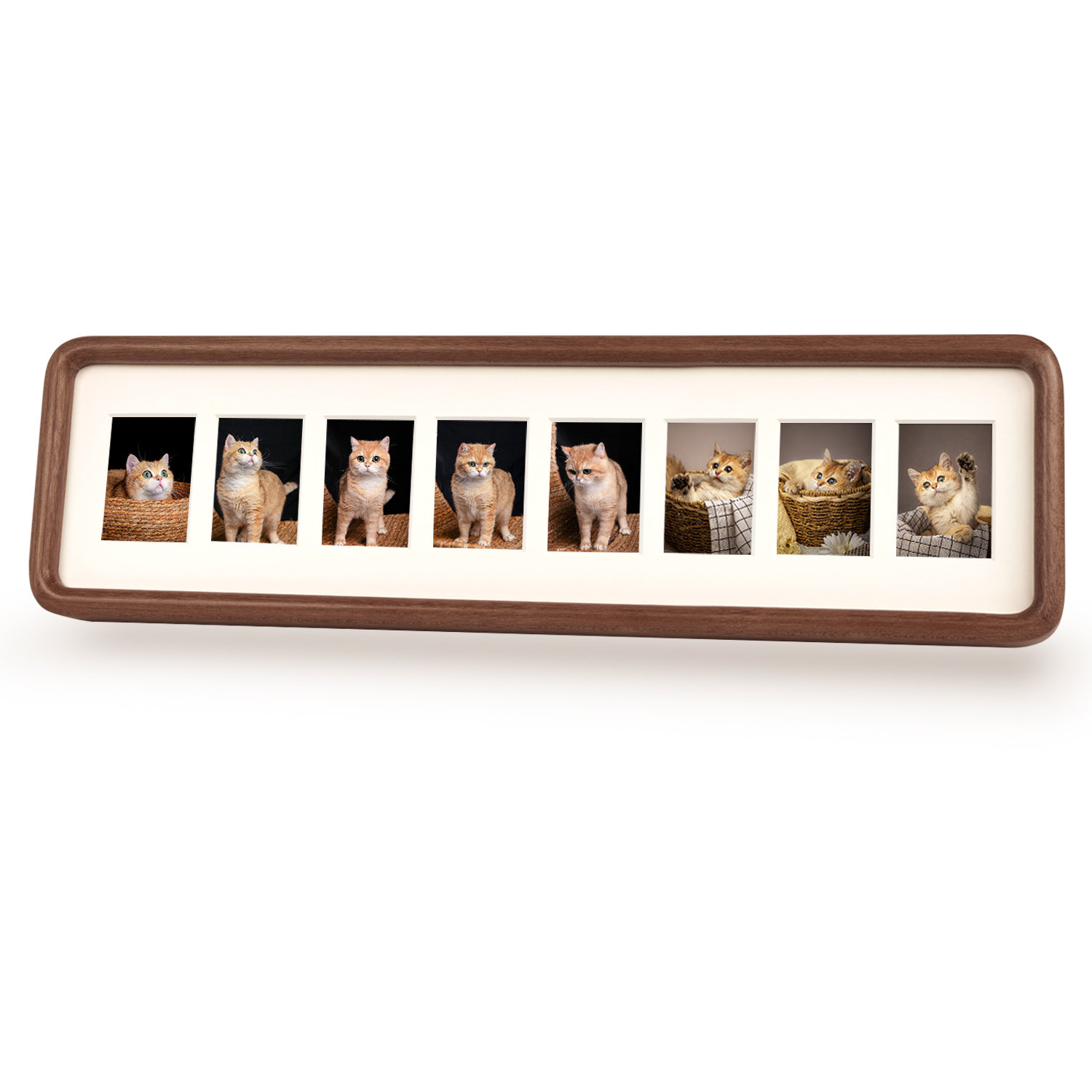 Ebern Designs Edrina Wood Picture Frame | Wayfair