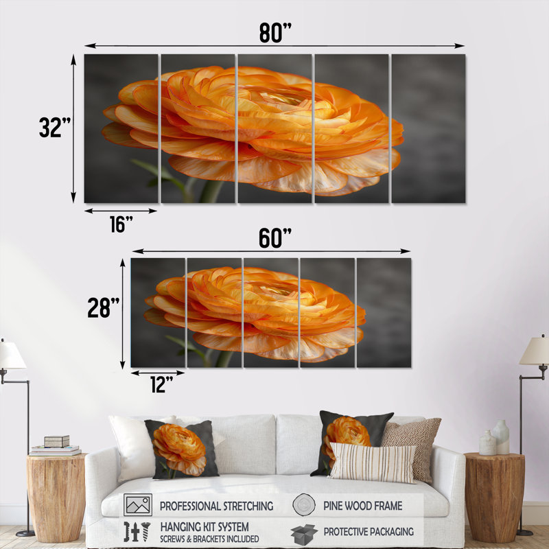 Orange And Black Ranunculus Bloom I - Ranunculus Wall Decor Set, 28" H x 60" W