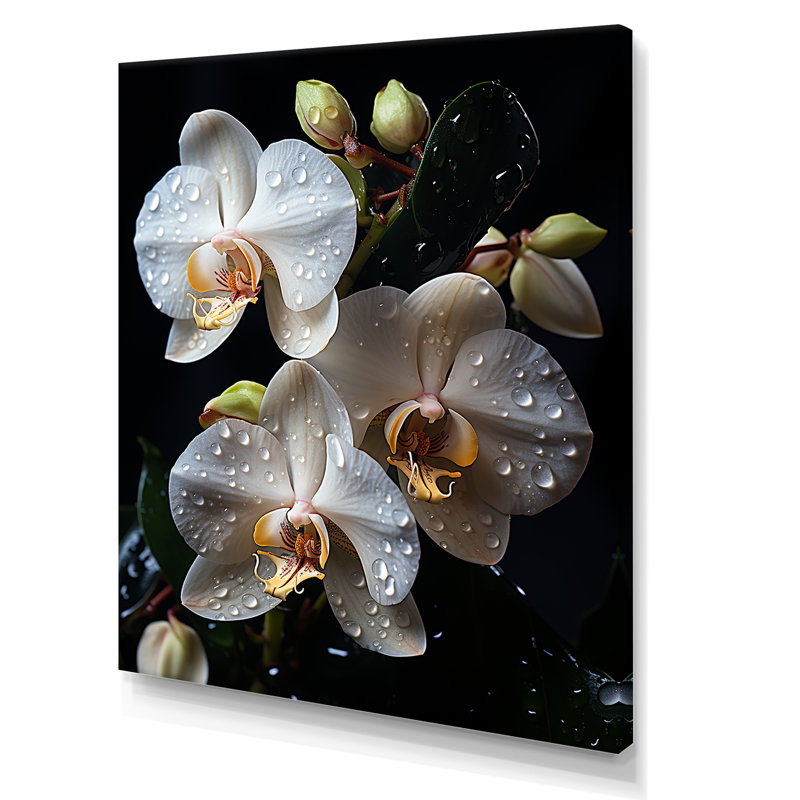 Orchidées blanches pétales d'élégance I, Toile tendue, H 32 po x l 24 po x P 1 po