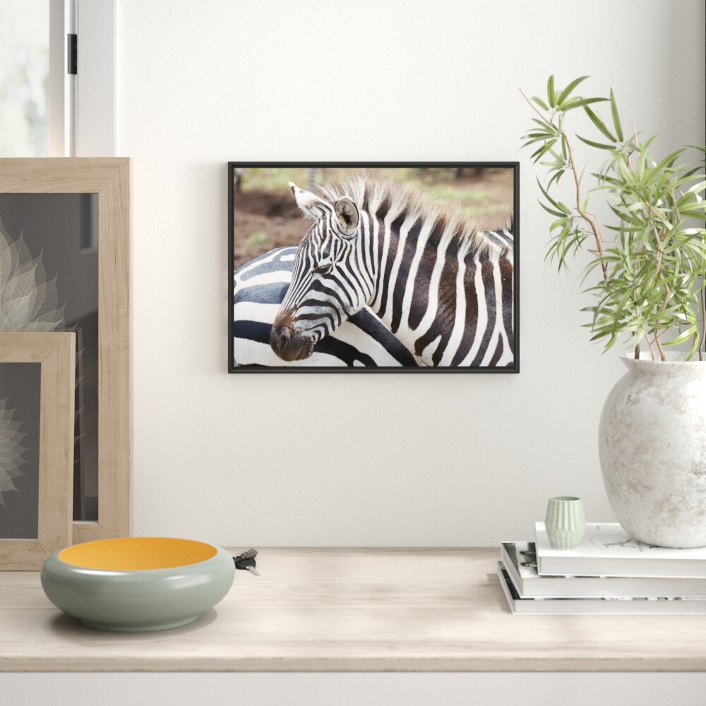 Gerahmtes Wandbild prächtiges Zebra