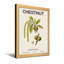 Plantes et fleurs châtaignier botanique-1383950054-1383950049-1383950051