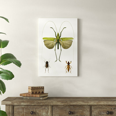 Entomology Series V by Blanchard - Painting on Canvas