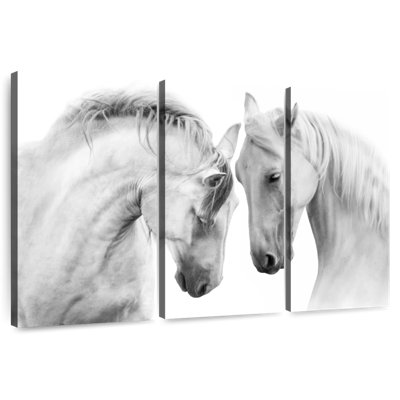 Chevaux courtisant