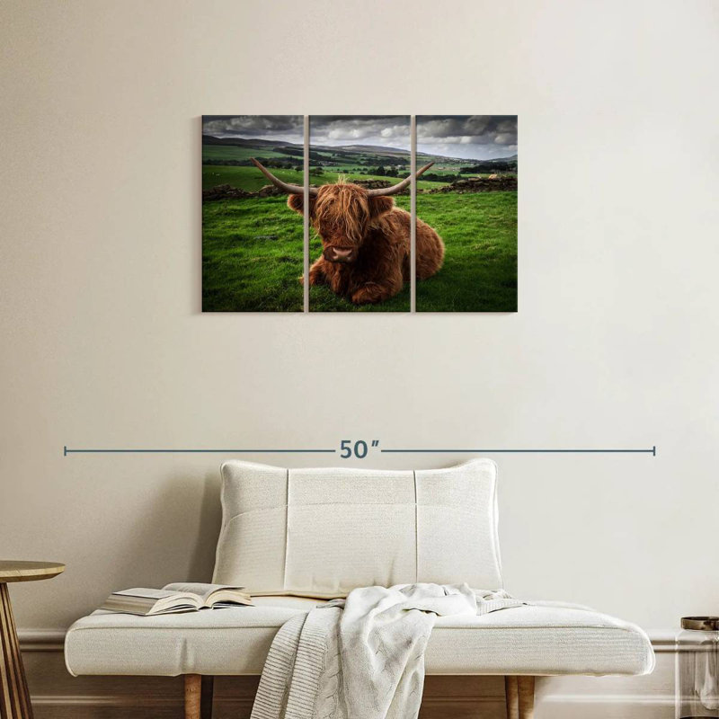 Mellow Highland Cow, 20" H x 33" W