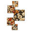 Cuscute - ensemble d'art mural floral de 5