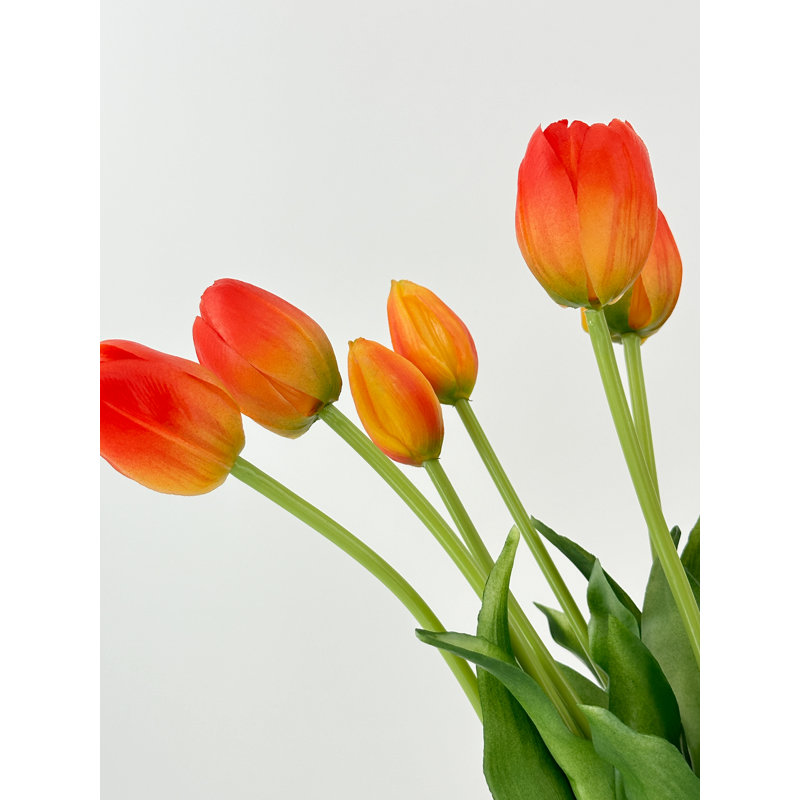 5 vraies tulipes artificielles, Orange