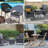 Outdoor 2'' Seat Cushion-1152164381
