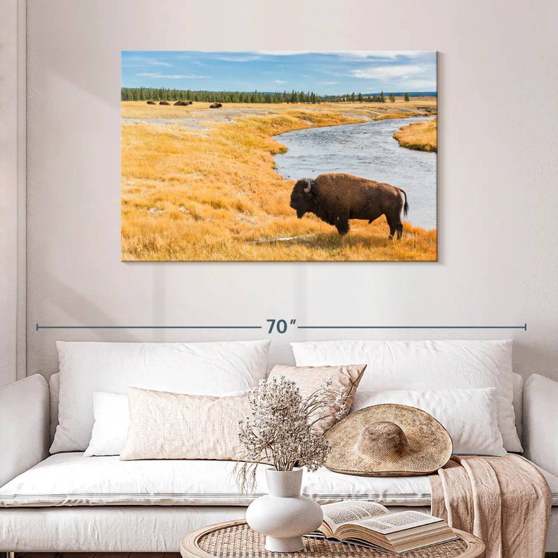 Bison du parc national Brampt, H 30 po x l 45 po