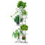 Plant Stand-1119062097