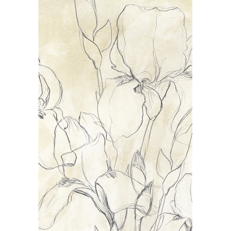 «Iris Garden Sketch II» par June Erica Vess - peinture sur toile tendue, H 18 po x l 12 po