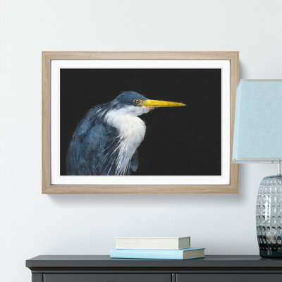 Pied Heron - Picture Frame Graphic Art Print