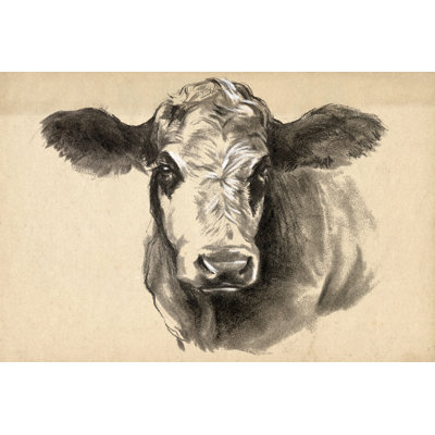 Vache gris anthracite I
