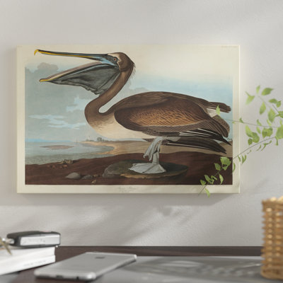« pelican », impression sur toile