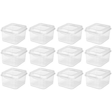 clear plastic storage box hinged lid from