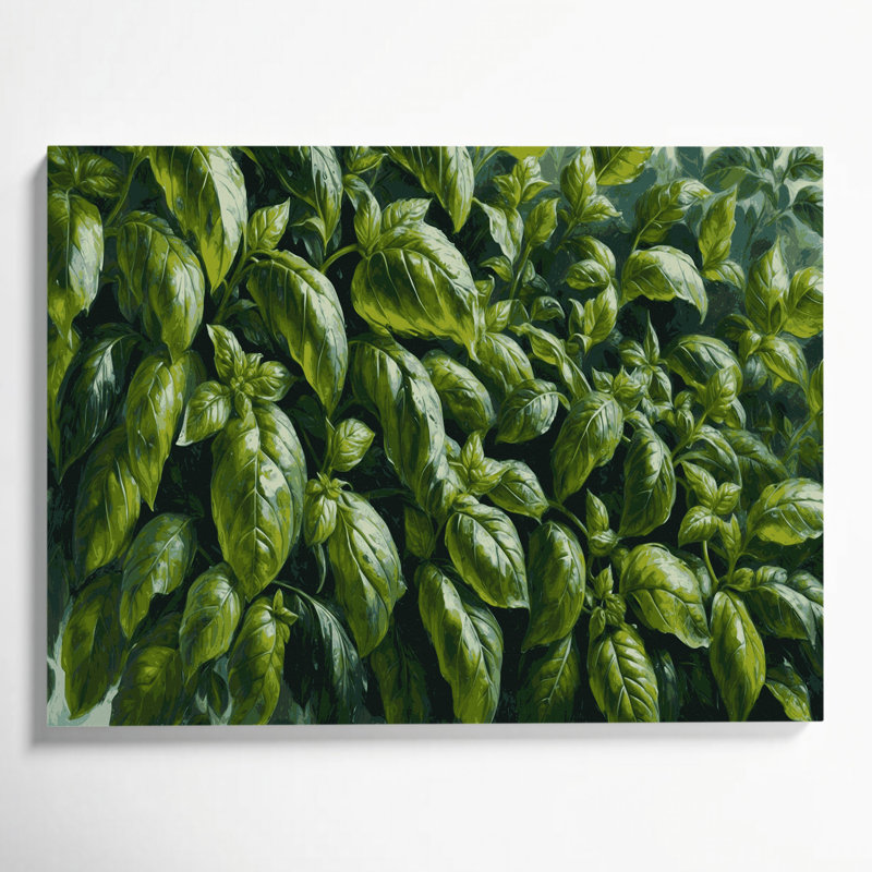 Art mural sur toile botanique vert basilic, H 11 po x l 14 po