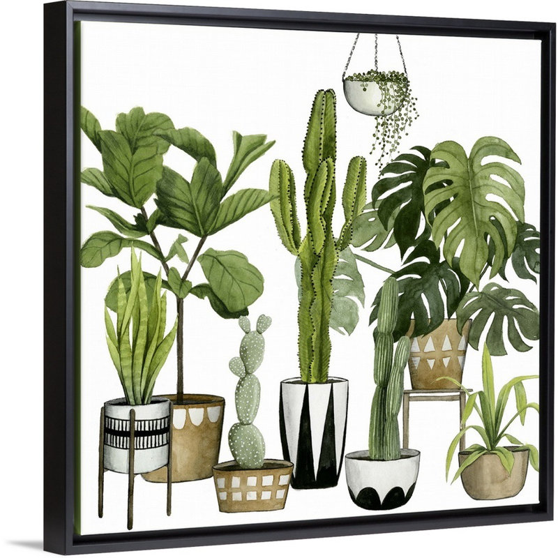 «Plant Haven I», art mural sur toile, Toile avec cadre noir, H 30 po x l 30 po x P 1,75 po