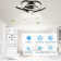 Draevyn 22'' Ceiling Fan with LED Lights
