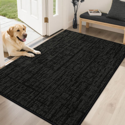 Non-Slip Absorbent Door Mat with TPR Backing – Soft, Washable, Low-Profile Doormat for Indoor Entrance, Perfect for Pets & Family